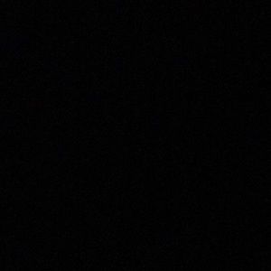 Meet your Posher, Joslyn rose